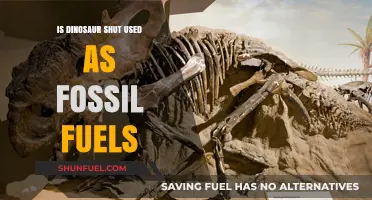 Dinosaur Remnants: Fossil Fuels?