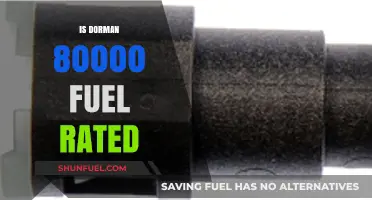 Is Dorman 800-000 Fuel Rated? A Comprehensive Review