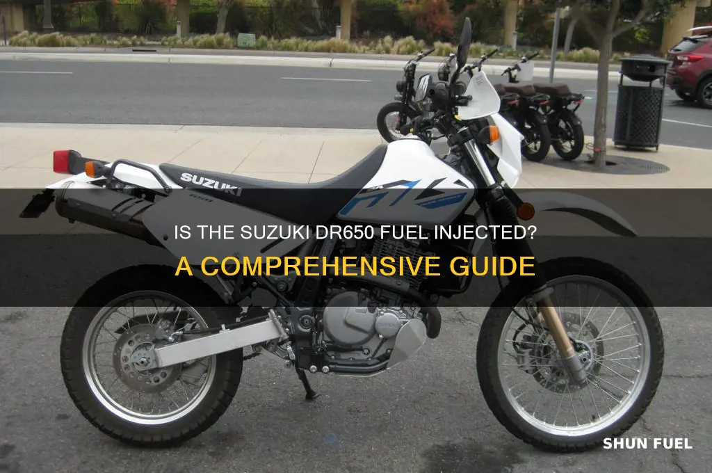is dr650 fuel injected
