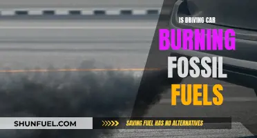 The Dark Side of Driving: Burning Fossil Fuels