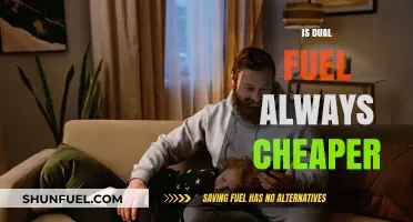 Is Dual Fuel Always Cheaper? Exploring Cost-Effective Energy Options