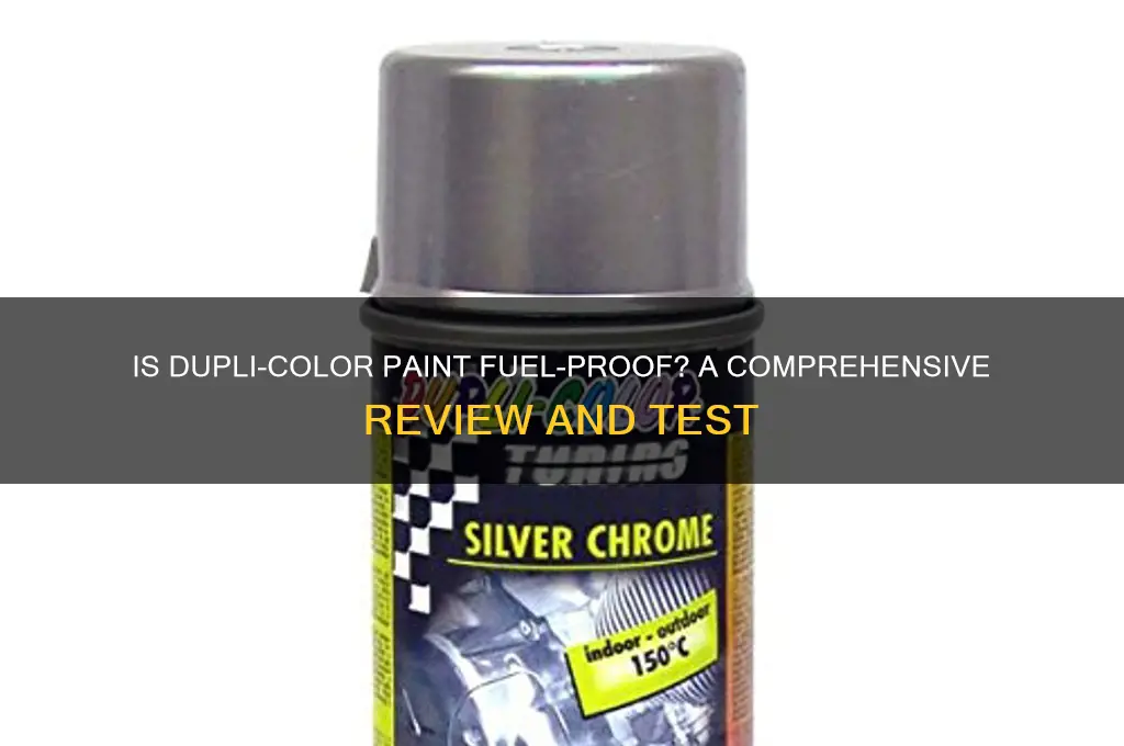 is duplicolor paint fuel proof