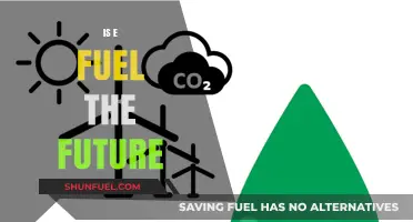 E-Fuel: A Sustainable Future or Just a Passing Trend?