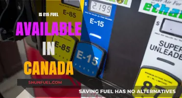 E15 Fuel Availability in Canada: What You Need to Know