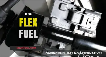 Exploring E70 Flex Fuel Compatibility: Benefits, Myths, and Practical Insights