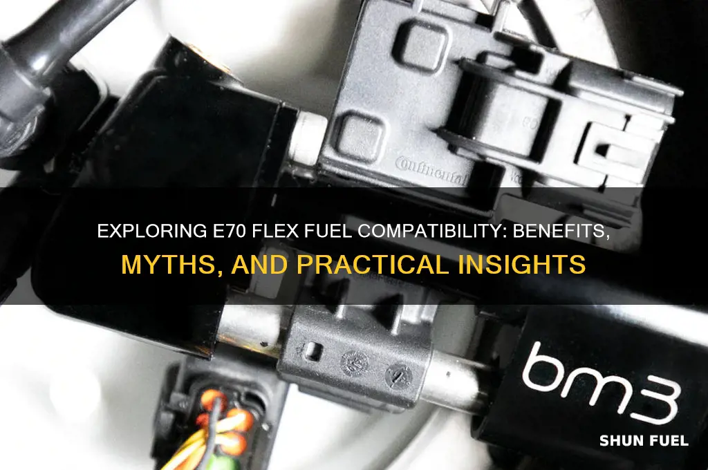 is e70 flex fuel