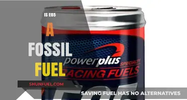 E85: A Fossil Fuel Alternative?