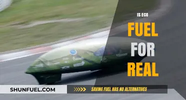 Eco Fuel Reality Check: Separating Hype from Sustainable Solutions