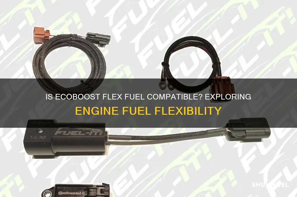 is ecoboost flex fuel