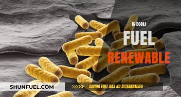 Is E. Coli Fuel a Sustainable Renewable Energy Source?