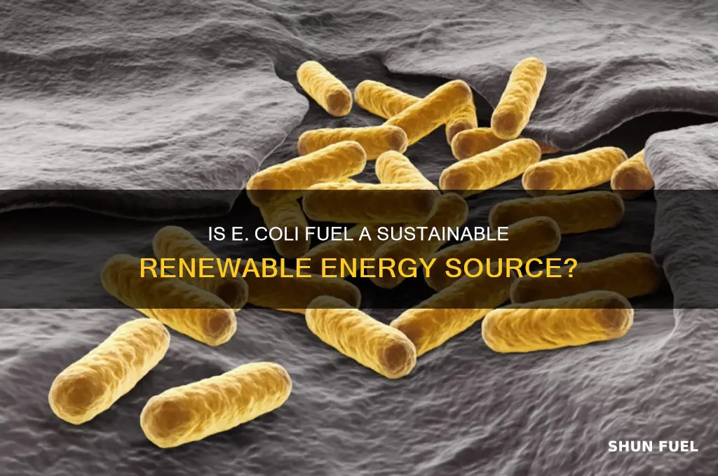 is ecoli fuel renewable
