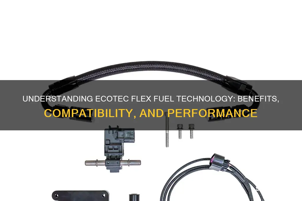 is ecotec flex fuel