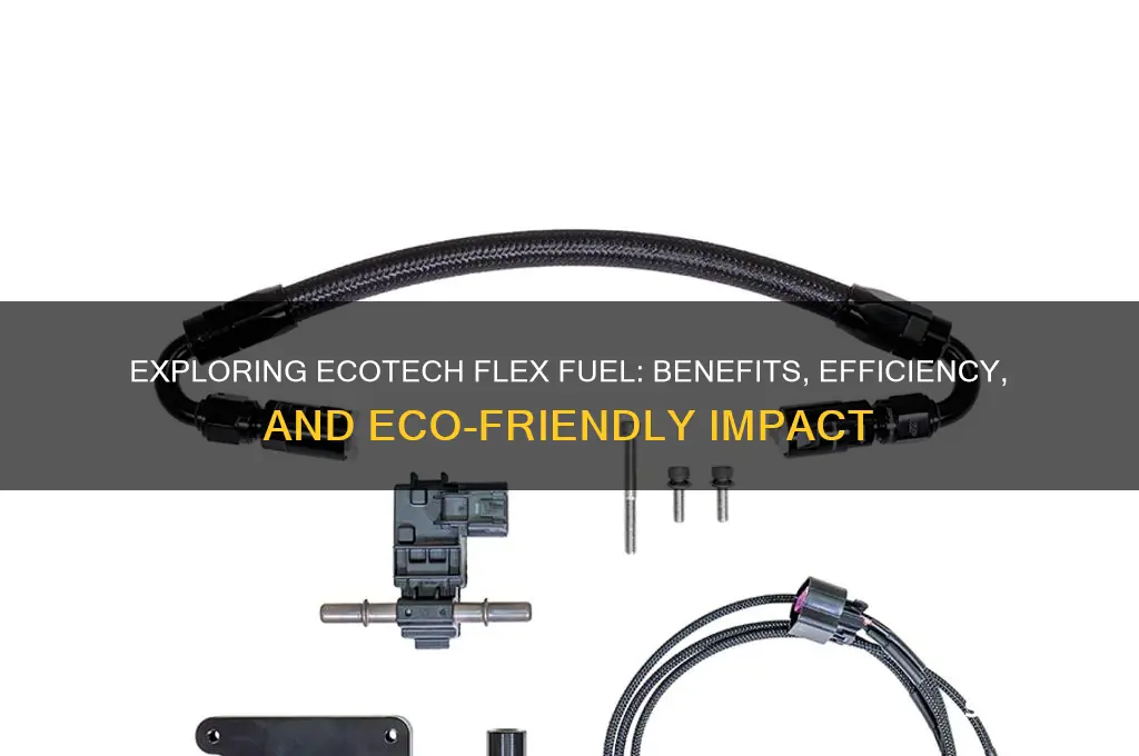 is ecotech flex fuel