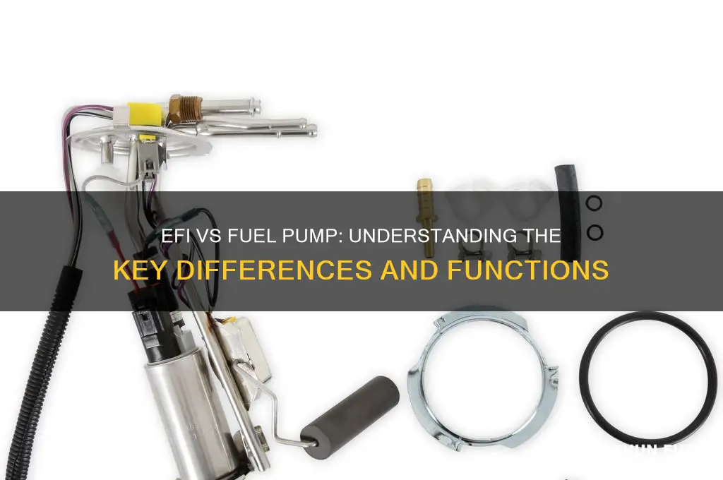 is efi the same as fuel pump