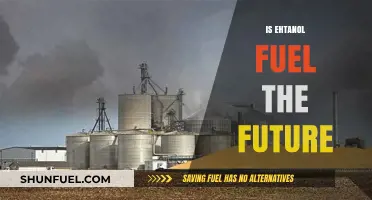 Ethanol Fuel: A Sustainable Future or Just a Passing Trend?