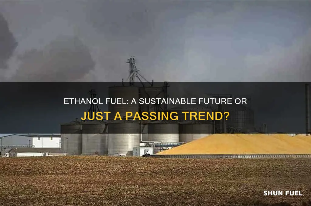 is ehtanol fuel the future