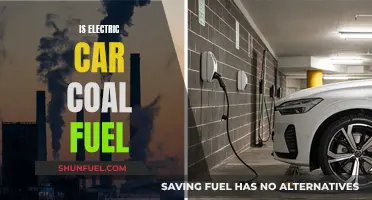 Electric Cars: Coal-Fueled Future or Green Revolution?