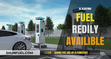 Is Electric Fuel Readily Available? Exploring Charging Infrastructure Accessibility