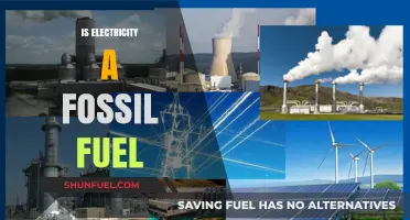 Electricity and Fossil Fuels: What's the Connection?