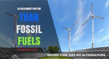 Electricity vs Fossil Fuels: A Sustainable Future?