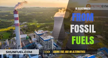 Fossil Fuels and Electricity: What's the Connection?