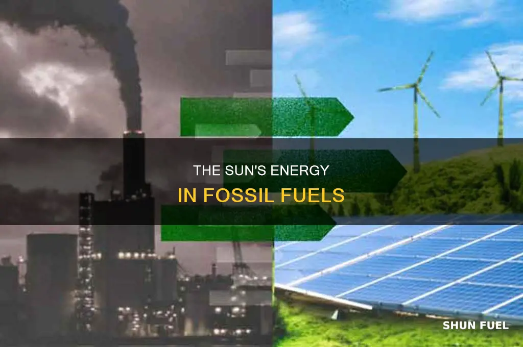 is energy in fossil fuels originally come from