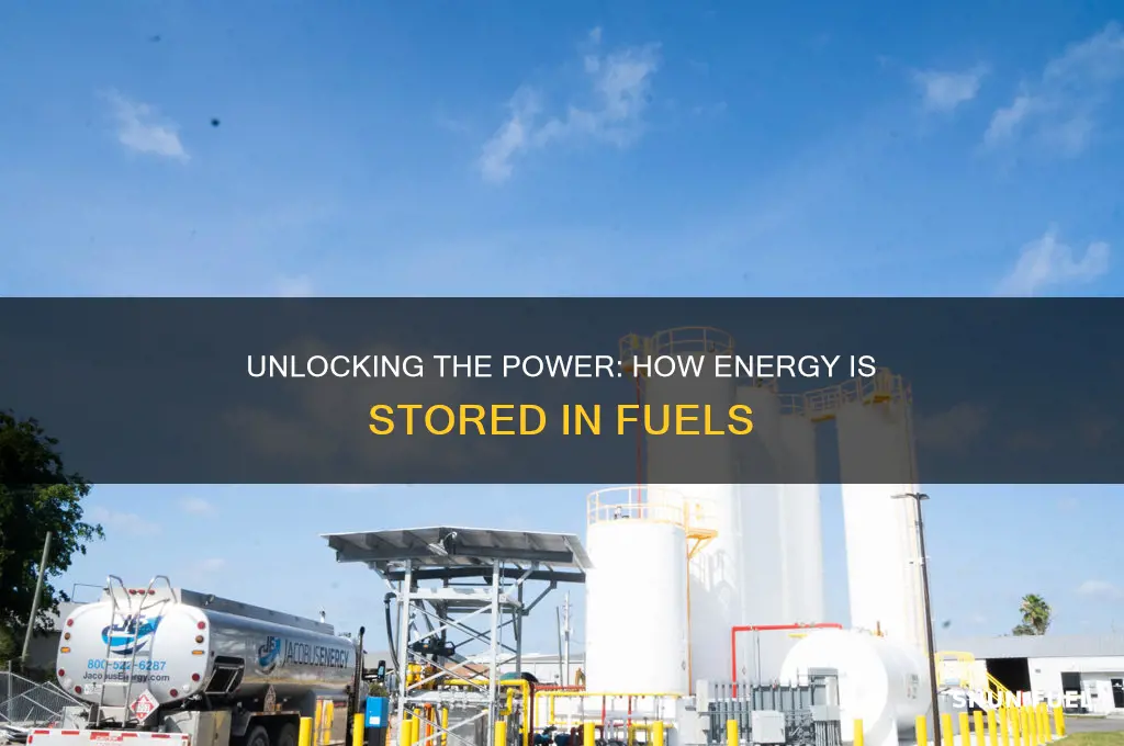 is energy stored in fuels