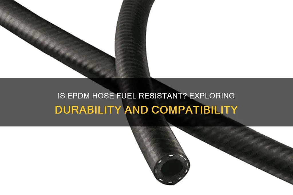 is epdm hose fuel resistant