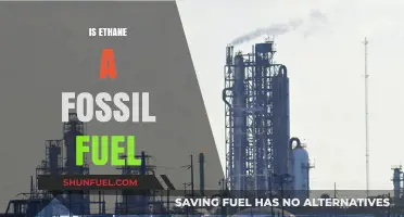 Ethane: Fossil Fuel or Not?