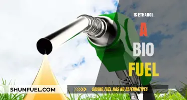 Ethanol as Biofuel: Sustainable Energy Source or Environmental Myth?