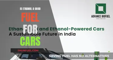 Ethanol as Car Fuel: Is It a Good Idea?