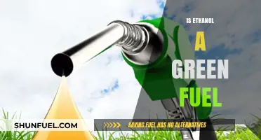 Ethanol as Green Fuel: Sustainable Solution or Environmental Myth?
