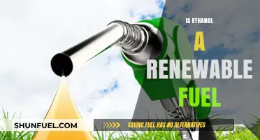 Ethanol as Renewable Fuel: Sustainable Energy Source or Myth?