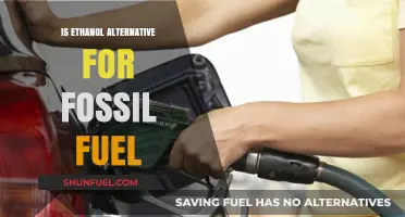 Ethanol: A Green Alternative to Fossil Fuels?