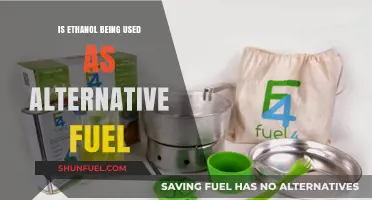 Ethanol as Alternative Fuel: Current Use and Future Potential