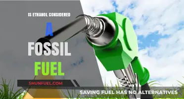 Ethanol Energy: Fossil Fuel or Not?
