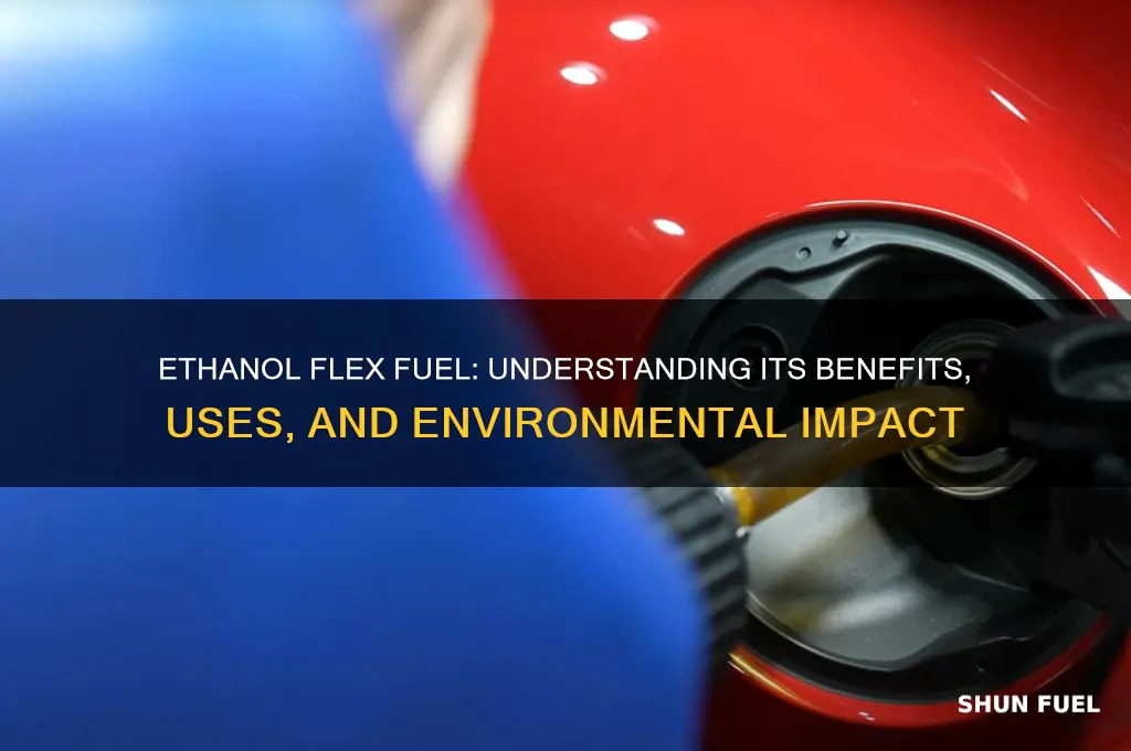 is ethanol flex fuel