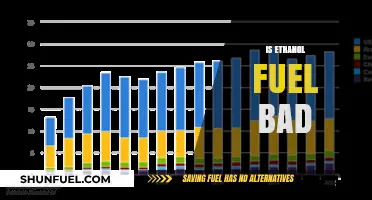 Is Ethanol Fuel Harmful? Environmental and Economic Impacts Explored