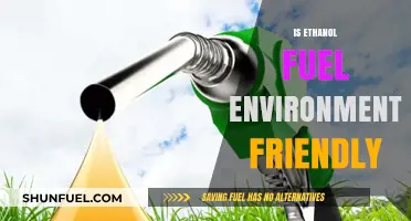 Ethanol Fuel: Eco-Friendly Solution or Environmental Dilemma?