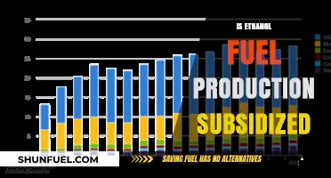 Ethanol Fuel Production Subsidies: Uncovering Government Support and Impact