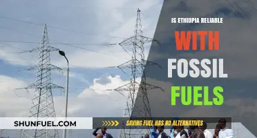 Ethiopia's Fossil Fuel Future: Reliable or Risky?