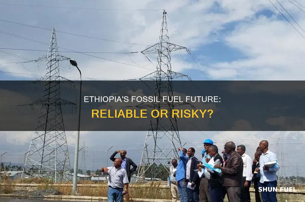 is ethiopia reliable with fossil fuels