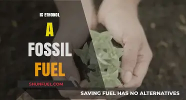 Ethanol: Fossil Fuel or Not?