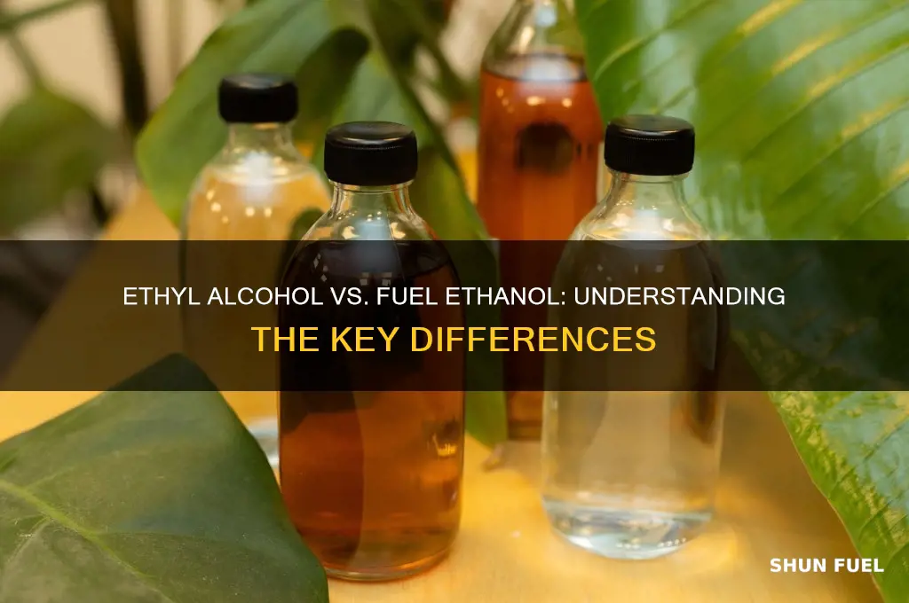 is ethyl alcohol fuel ethanol