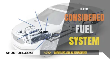 Is EVAP Part of the Fuel System? Understanding Its Role