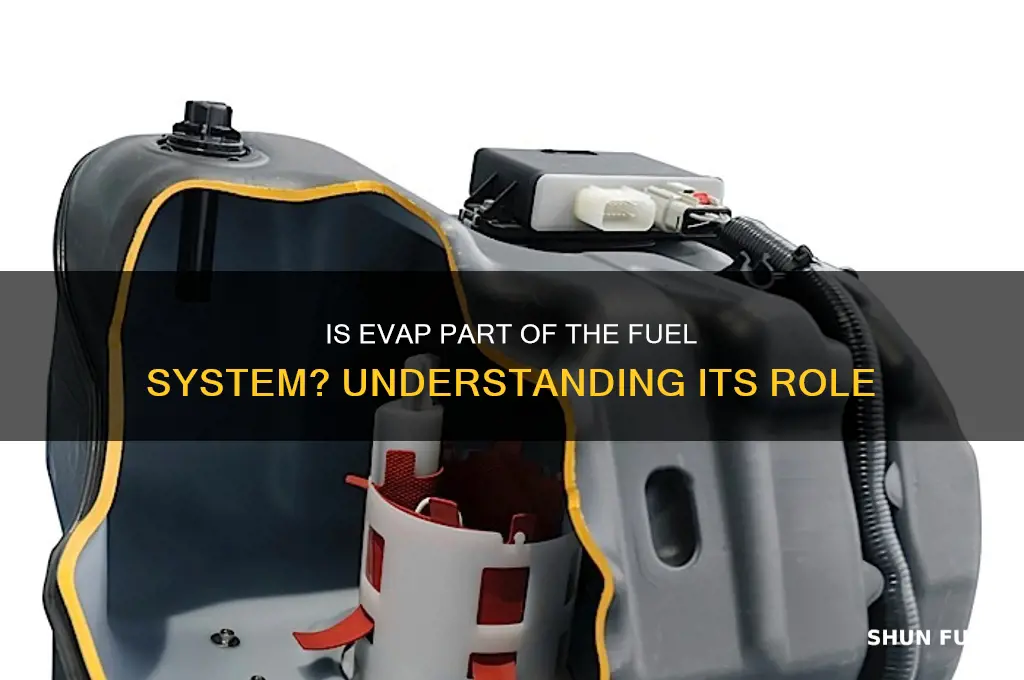 is evap considered fuel system