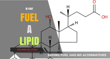 Is Fast Fuel a Lipid? Unraveling the Science Behind Energy Sources