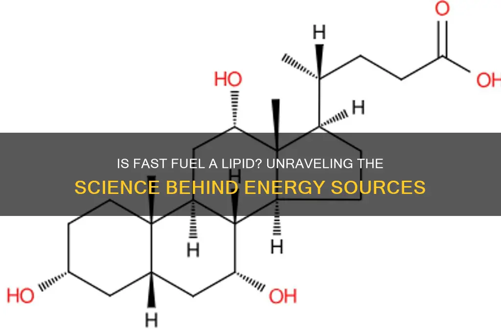 is fast fuel a lipid