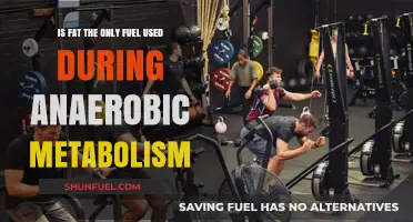 Anaerobic Metabolism: Beyond Fat - Exploring Fuel Sources in High-Intensity Exercise