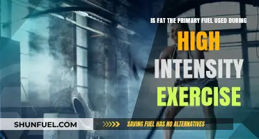 Fat as Fuel: Debunking Myths in High-Intensity Exercise Energy Use